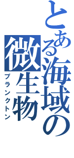 とある海域の微生物（プランクトン）