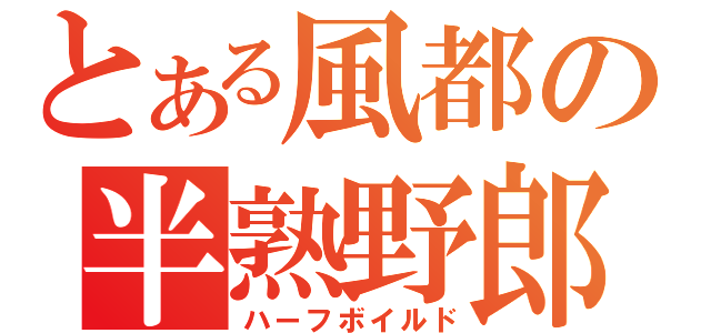 とある風都の半熟野郎（ハーフボイルド）