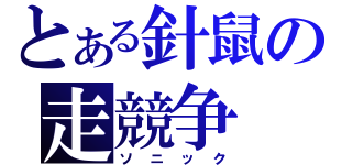 とある針鼠の走競争（ソニック）