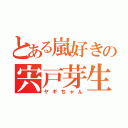 とある嵐好きの宍戸芽生（ヤギちゃん）