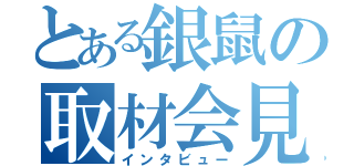 とある銀鼠の取材会見（インタビュー）