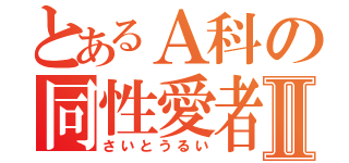 とあるＡ科の同性愛者Ⅱ（さいとうるい）