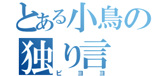 とある小鳥の独り言（ピヨヨ）