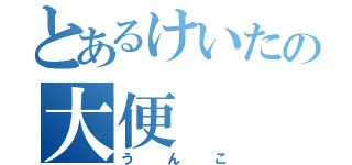 とあるけいたの大便（うんこ）