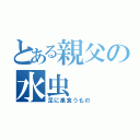 とある親父の水虫（足に巣食うもの）