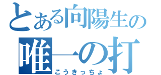 とある向陽生の唯一の打ち師（こうきっちょ）