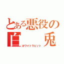 とある悪役の白  兎（ホワイトラビット）