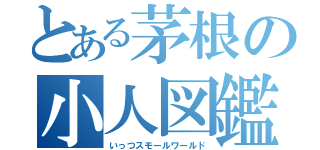 とある茅根の小人図鑑（いっつスモールワールド）