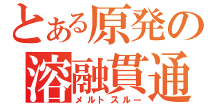 とある原発の溶融貫通（メルトスルー）