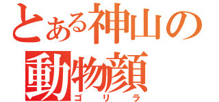 とある神山の動物顔（ゴリラ）