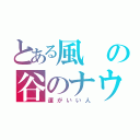 とある風の谷のナウシカ（運がいい人）