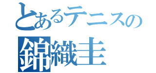 とあるテニスの錦織圭（）