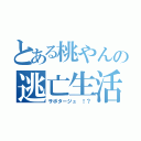 とある桃やんの逃亡生活（サボタージュ ！？）