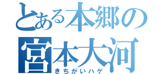 とある本郷の宮本大河（きちがいハゲ）