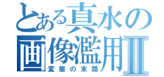 とある真水の画像濫用Ⅱ（変態の末路）