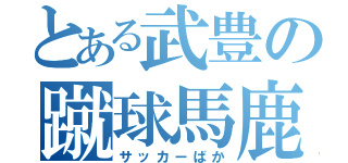 とある武豊の蹴球馬鹿（サッカーばか）