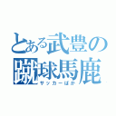 とある武豊の蹴球馬鹿（サッカーばか）