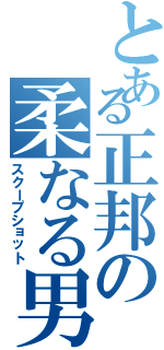 とある正邦の柔なる男（スクープショット）