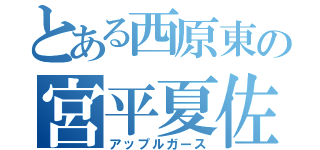 とある西原東の宮平夏佐流（アップルガース）