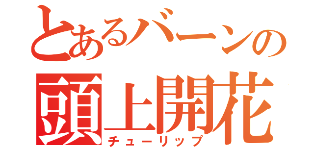 とあるバーンの頭上開花（チューリップ）