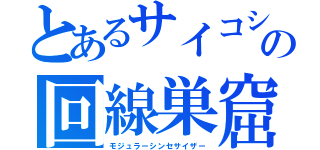 とあるサイコショッカーの帽子の回線巣窟（モジュラーシンセサイザー）