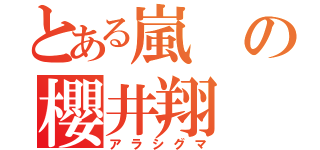 とある嵐の櫻井翔（アラシグマ）