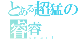 とある超猛の睿睿（ｓｍａｒｔ）