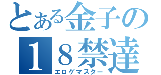 とある金子の１８禁達人（エロゲマスター）