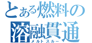 とある燃料の溶融貫通（メルトスルー）