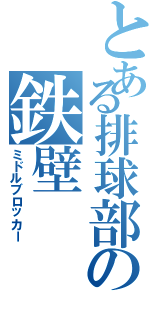 とある排球部の鉄壁（ミドルブロッカー）