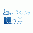 とあるうんちのしっこ（自慰行為）