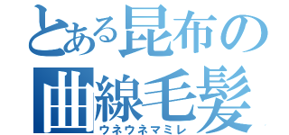 とある昆布の曲線毛髪（ウネウネマミレ）