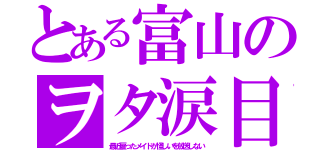 とある富山のヲタ涙目（最近雇ったメイドが怪しいを放送しない）