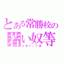 とある常勝校の若い奴等（立海ヤング漢）