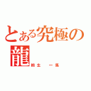 とある究極の龍（桐生　一馬）