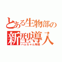 とある生物部の新型導入（ハムちゃん降臨）