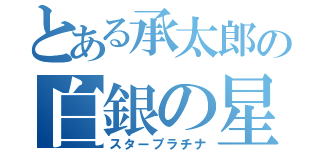 とある承太郎の白銀の星（スタープラチナ）