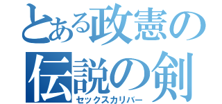 とある政憲の伝説の剣（セックスカリバー）