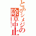 とあるシメジの除草中止（女装中止ｏｒｚ）