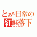 とある日常の紅鮭落下（シャケだあー！）