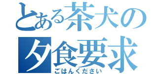 とある茶犬の夕食要求（ごはんください）