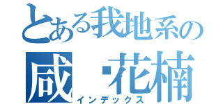 とある我地系の咸鱼花楠煲（インデックス）