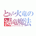 とある火竜の滅竜魔法（ナツドラグニル）