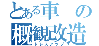 とある車の概観改造（ドレスアップ）