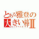 とある雅登の大きい棒Ⅱ（ビックペニス）