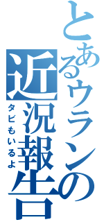 とあるウランの近況報告（タビもいるよ）