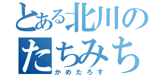 とある北川のたちみち（かめたろす）