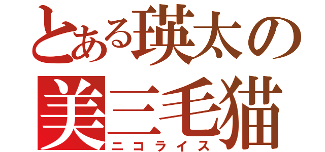 とある瑛太の美三毛猫（ニコライス）