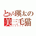 とある瑛太の美三毛猫（ニコライス）