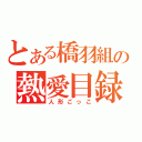 とある橋羽組の熱愛目録（人形ごっこ）